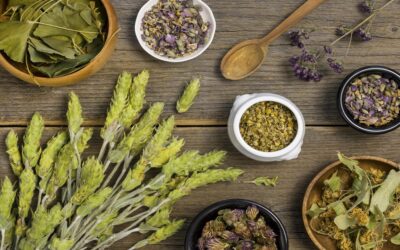Zbawienny wpływ ziół na nasz organizm