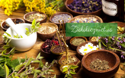 Ziołolecznictwo – skuteczne rozwiązania na stres i poprawę snu