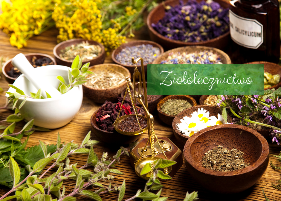 Ziołolecznictwo – skuteczne rozwiązania na stres i poprawę snu
